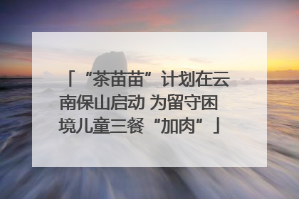 “茶苗苗”计划在云南保山启动 为留守困境儿童三餐“加肉”
