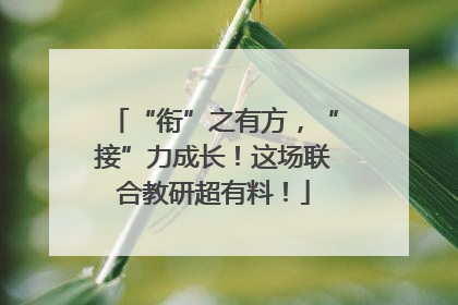 “衔”之有方，“接”力成长！这场联合教研超有料！