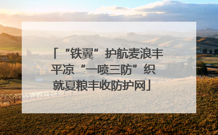 “铁翼”护航麦浪丰 平凉“一喷三防”织就夏粮丰收防护网