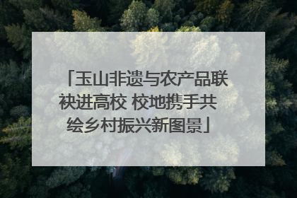 玉山非遗与农产品联袂进高校 校地携手共绘乡村振兴新图景