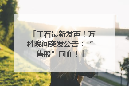 王石最新发声！万科晚间突发公告：“售股”回血！