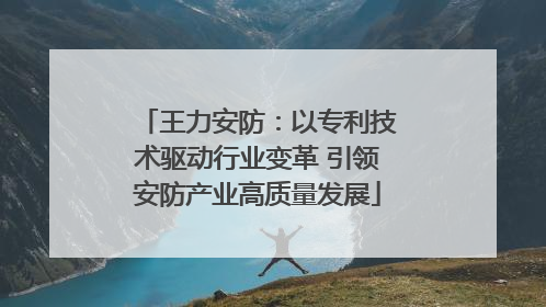 王力安防：以专利技术驱动行业变革 引领安防产业高质量发展