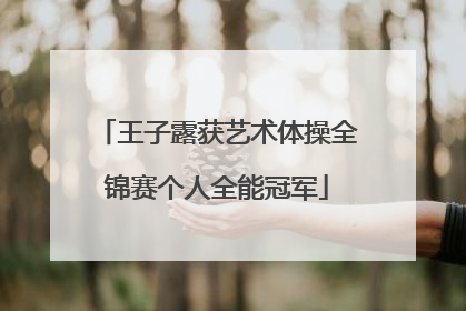 王子露获艺术体操全锦赛个人全能冠军