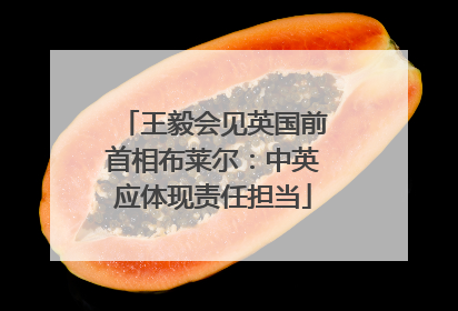 王毅会见英国前首相布莱尔：中英应体现责任担当