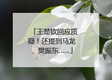 王楚钦回应质疑！还提到马龙、樊振东……