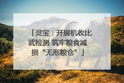 灵宝：开展机收比武检测 筑牢粮食减损“无形粮仓”