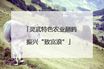 灵武特色农业翻腾振兴“致富浪”