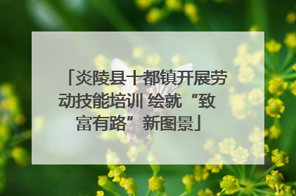 炎陵县十都镇开展劳动技能培训 绘就“致富有路”新图景