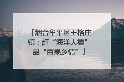 烟台牟平区王格庄镇：赶“海洋大集” 品“百果乡情”