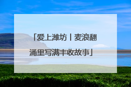 爱上潍坊丨麦浪翻涌里写满丰收故事