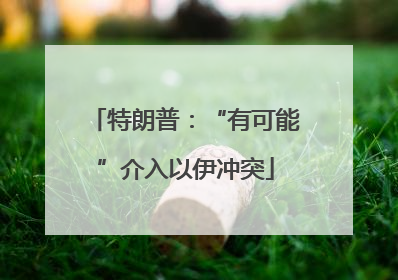 特朗普：“有可能”介入以伊冲突