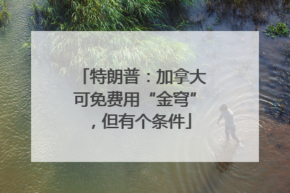 特朗普：加拿大可免费用“金穹”，但有个条件