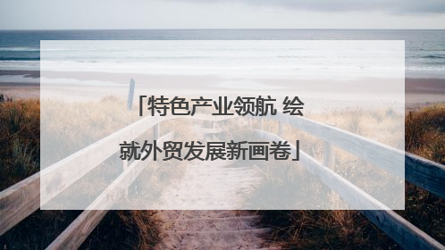 特色产业领航 绘就外贸发展新画卷