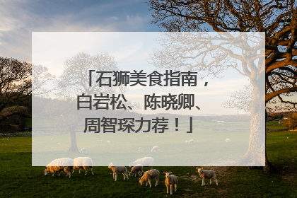 石狮美食指南，白岩松、陈晓卿、周智琛力荐！