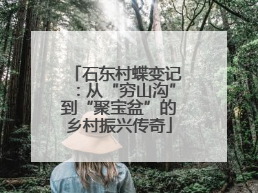 石东村蝶变记：从“穷山沟”到“聚宝盆”的乡村振兴传奇