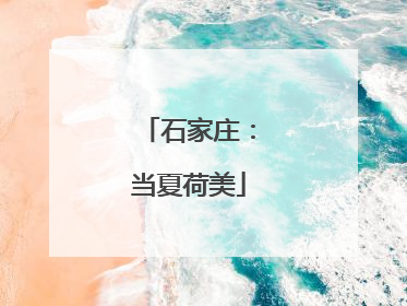 石家庄：当夏荷美