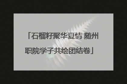 石榴籽聚华夏情 随州职院学子共绘团结卷