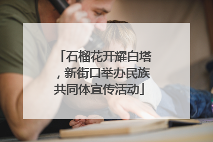 石榴花开耀白塔，新街口举办民族共同体宣传活动