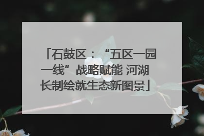石鼓区：“五区一园一线”战略赋能 河湖长制绘就生态新图景