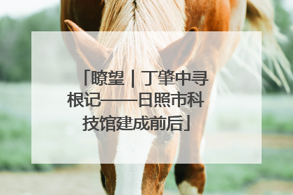瞭望｜丁肇中寻根记——日照市科技馆建成前后