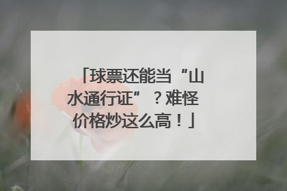 球票还能当“山水通行证”？难怪价格炒这么高！