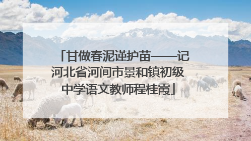 甘做春泥谨护苗——记河北省河间市景和镇初级中学语文教师程桂霞