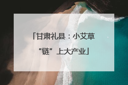甘肃礼县：小艾草“链”上大产业