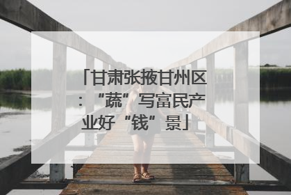 甘肃张掖甘州区：“蔬”写富民产业好“钱”景