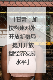 甘肃：加快构建对外开放新格局 提升开放型经济发展水平