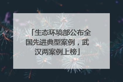 生态环境部公布全国先进典型案例，武汉两案例上榜