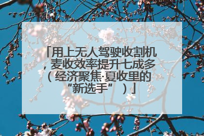 用上无人驾驶收割机，麦收效率提升七成多（经济聚焦·夏收里的“新选手”）