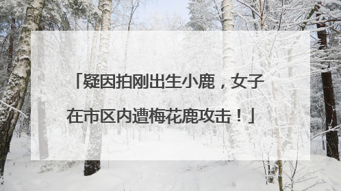 疑因拍刚出生小鹿，女子在市区内遭梅花鹿攻击！