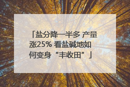 盐分降一半多 产量涨25% 看盐碱地如何变身“丰收田”