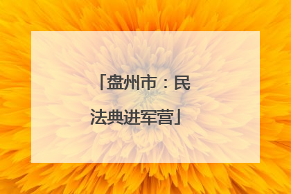 盘州市：民法典进军营