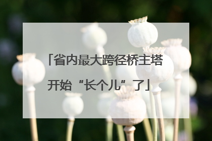 省内最大跨径桥主塔开始“长个儿”了