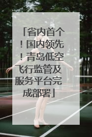 省内首个！国内领先！青岛低空飞行监管及服务平台完成部署
