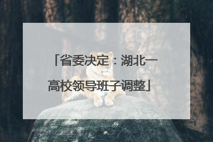 省委决定：湖北一高校领导班子调整