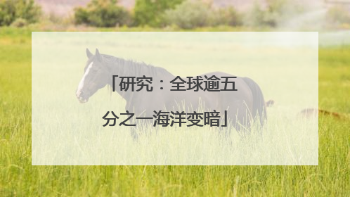 研究：全球逾五分之一海洋变暗