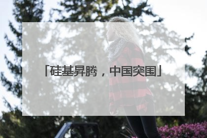 硅基昇腾，中国突围
