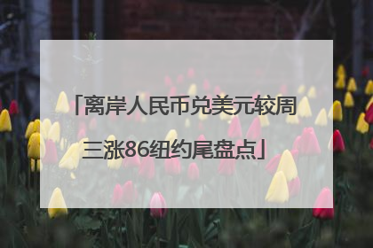 离岸人民币兑美元较周三涨86纽约尾盘点