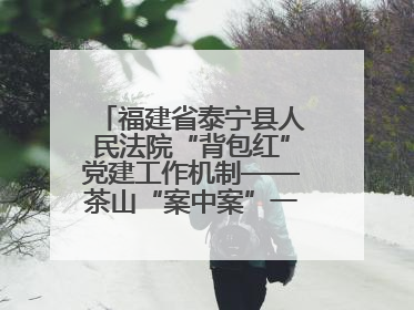 福建省泰宁县人民法院“背包红”党建工作机制——茶山“案中案”一揽子了结
