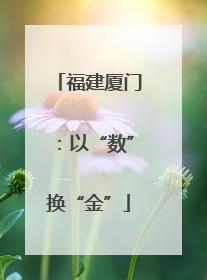 福建厦门：以“数”换“金”
