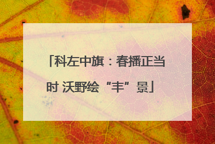 科左中旗：春播正当时 沃野绘“丰”景