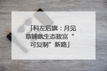 科左后旗：月见草铺就生态致富“可复制”新路