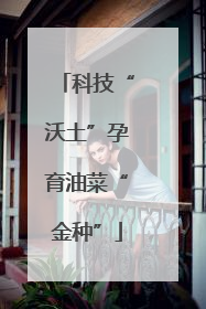 科技“沃土”孕育油菜“金种”