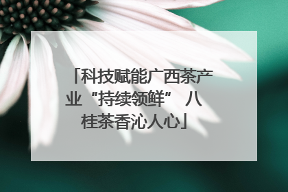科技赋能广西茶产业“持续领鲜” 八桂茶香沁人心