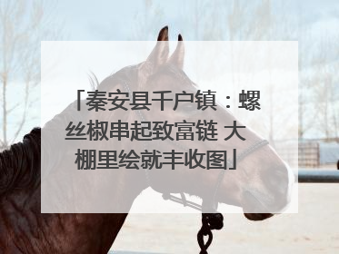 秦安县千户镇：螺丝椒串起致富链 大棚里绘就丰收图
