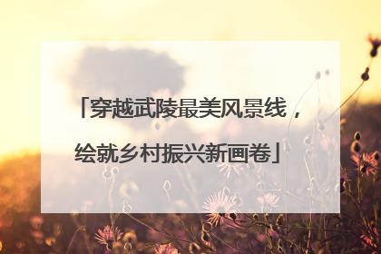 穿越武陵最美风景线，绘就乡村振兴新画卷