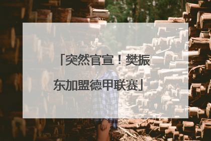 突然官宣！樊振东加盟德甲联赛