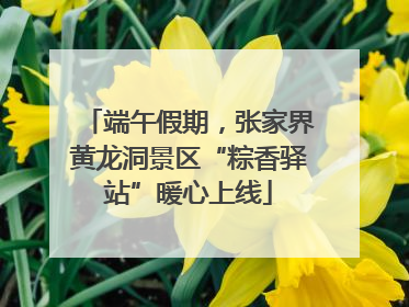 端午假期，张家界黄龙洞景区“粽香驿站”暖心上线